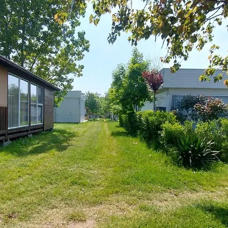 Camping Oasis Blue Lozenets